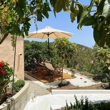 The Garden House, Sitia Apartment Luaran gambar