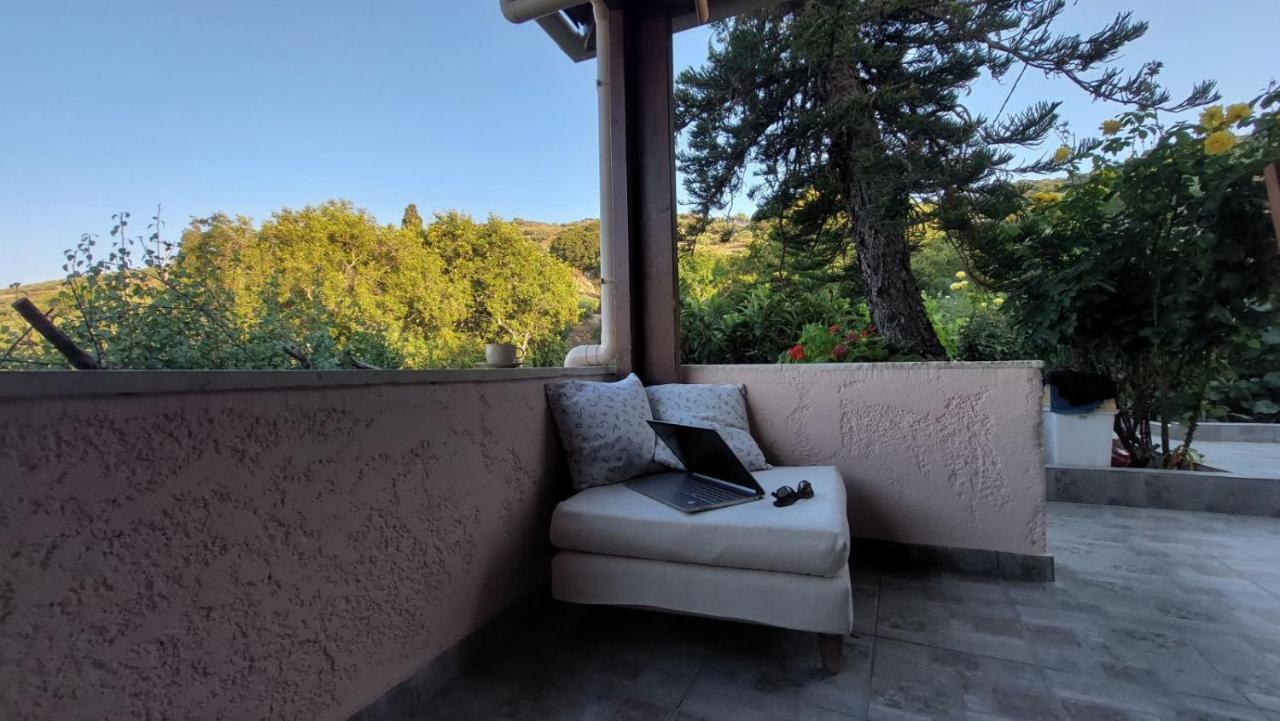 The Garden House, Sitia Apartment Luaran gambar